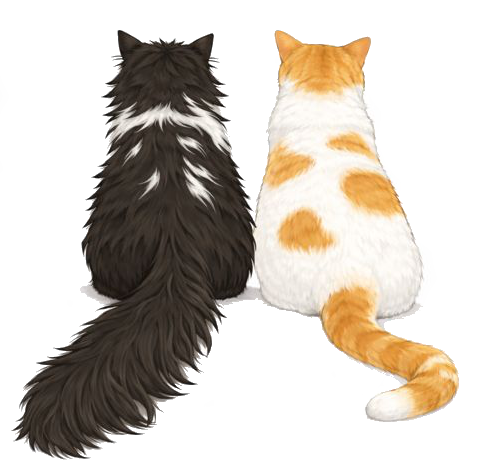 Cats illustration