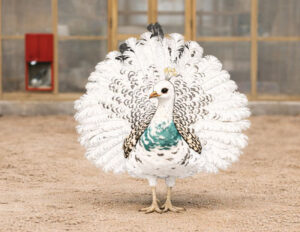 The Day We Almost Lost Neo