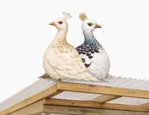 The Night the “Little Ones” Went Camping