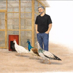 The Night My Husband Put Four Teenage Peacocks to Bed