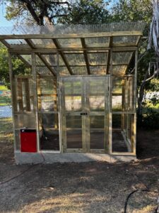 A wooden greenhouse with transparent panels and a red storage unit at the side, situated in a garden with trees in the background.
