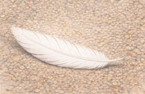 feather on the drive
