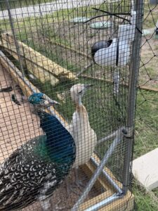 Neo and Morpheus check out the camera